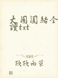 大团圆结全文阅读txt