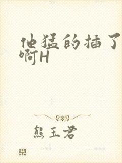 他猛的插了进去啊H