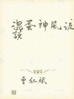 混蛋神风流史小说