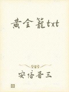 黄金笼txt