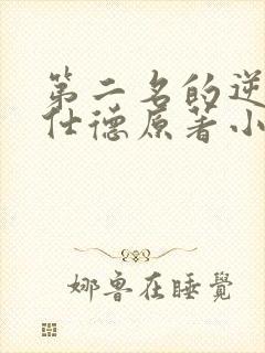 第二名的逆袭高仕德原著小说