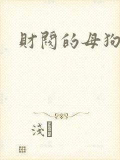 财阀的母狗们