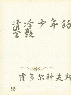 清冷少年的严厉管教