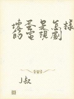 坏蛋是怎样炼成的电视剧