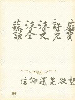 苏沫沫许庭川小说全文免费阅读