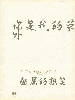 你是我的荣耀番外