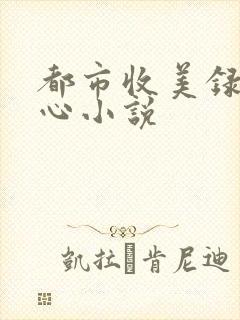 都市收美录宁素心小说
