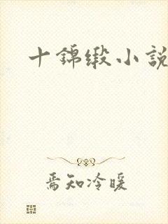 十锦缎小说