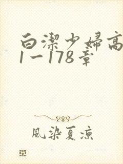 白洁少妇高义第1一178章