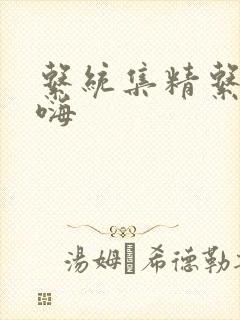 系统集精系统高嗨