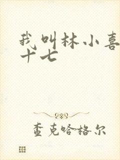 我叫林小喜今年十七