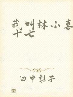 我叫林小喜今年十七