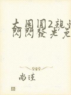 大团圆2亲情会闪闪发光免费