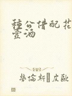 种公借配花间一壶酒