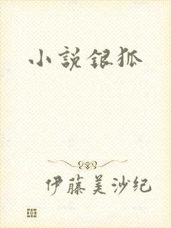 小说银狐
