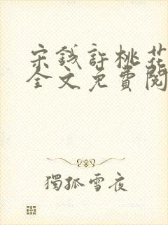 宋钱许桃花小说全文免费阅读