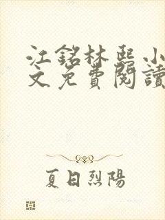 江铭林熙小说全文免费阅读