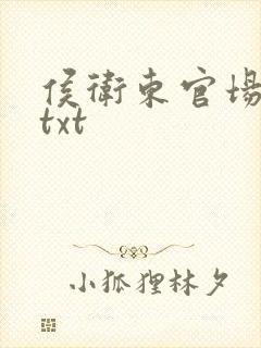 侯卫东官场笔记txt