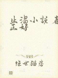 止渴小说 春光正好