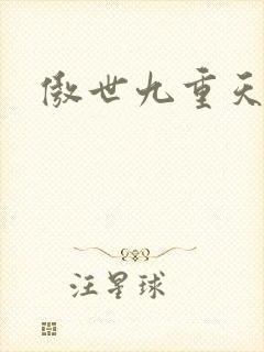傲世九重天小说