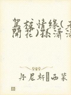 驾校情缘(老树开花)孙潇潇第一次趣笔阁