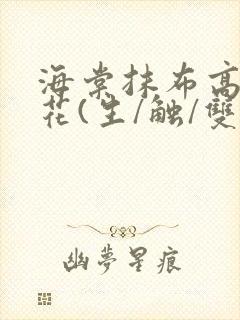 海棠抹布高岭之花(生/触/双)