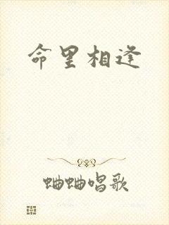 命里相逢