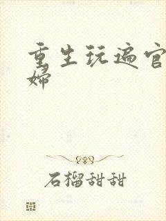 重生玩遍官场贵妇