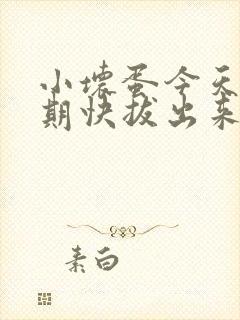 小坏蛋今天危险期快拔出来