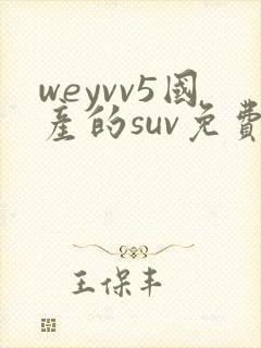 weyvv5国产的suv免费