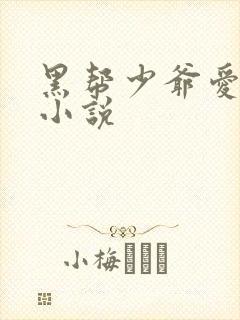 黑帮少爷爱上我小说