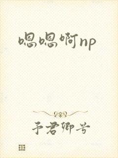 嗯嗯啊np