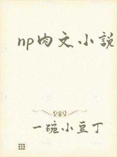 np肉文小说