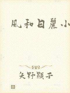 风和日丽小说