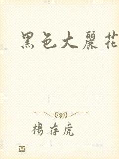黑色大丽花图片