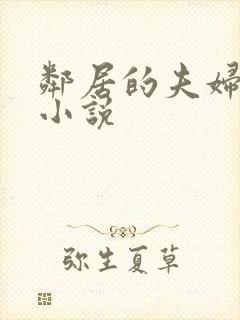 邻居的夫妇交换小说