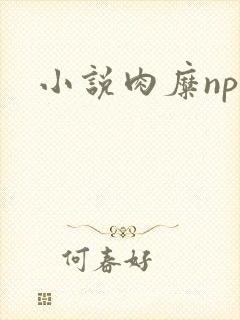 小说肉糜np