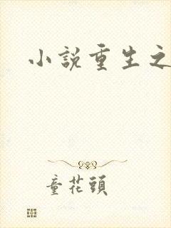 小说重生之官道