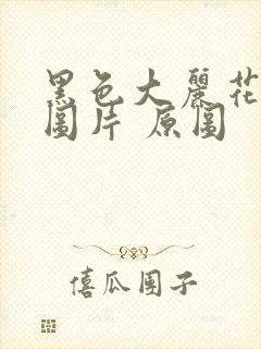 黑色大丽花真实图片 原图