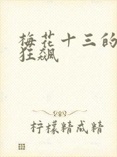梅花十三的乳液狂飙