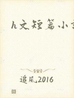 h文短篇小说