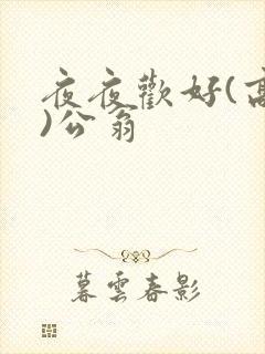 夜夜欢好(高h)公翁