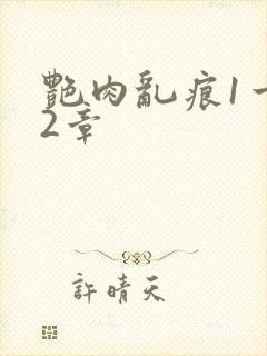 艳肉乱痕1一12章