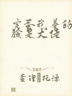 完蛋我养的小白脸是大佬