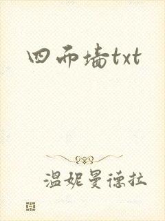 四面墙txt