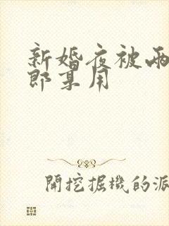 新婚夜被两个伴郎享用