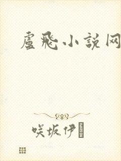 卢飞小说网