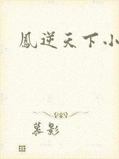 凤逆天下小说
