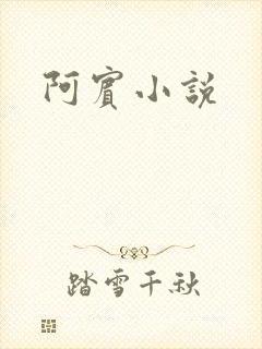 阿宾小说