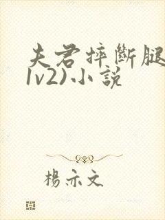 夫君摔断腿后(1v2)小说